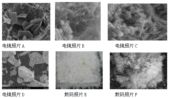 b,c和cccw粉体电镜照片d微观角度来说,水化硅酸钙属于无定形,结晶度